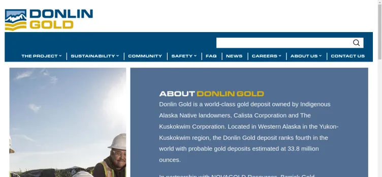 Screenshot DonlinGold.com
