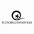 Plumeria Swimwear reviews, listed as Vinted