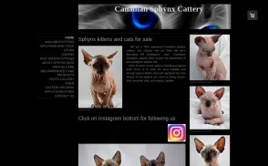 Sphynx Kittens and Cats for sale TICA Indigo Sphynx Cat Breeder