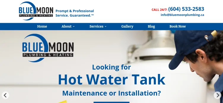 Screenshot Blue Moon Plumbing & Heating