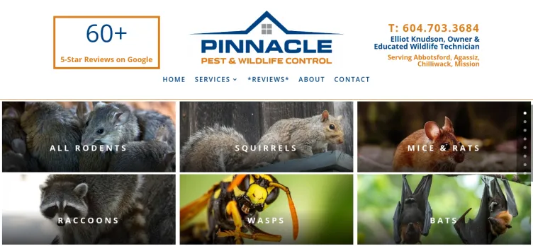 Screenshot Pinnacle Pest & Wildlife Control