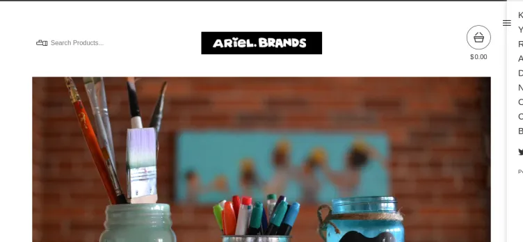 Screenshot Ariel Brands