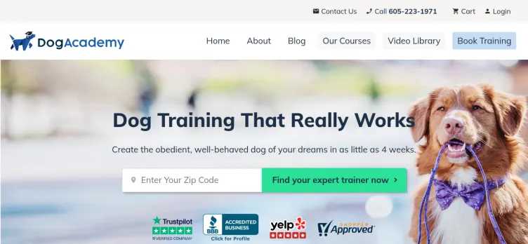 Screenshot Dog Academy