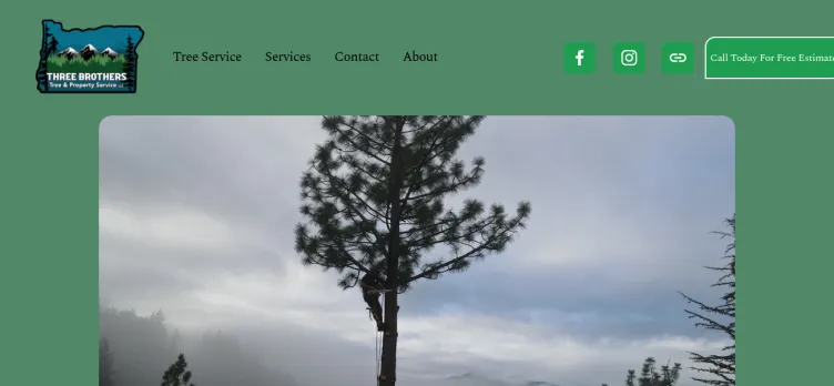 Screenshot ThreeBrothersTree.com