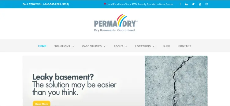 Screenshot Permadry.com