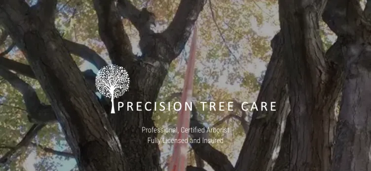 Screenshot Precision Tree Care