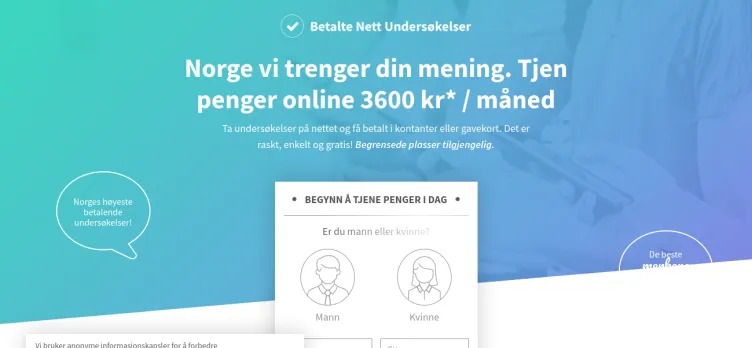 Screenshot BetalteNettundersokelser.com