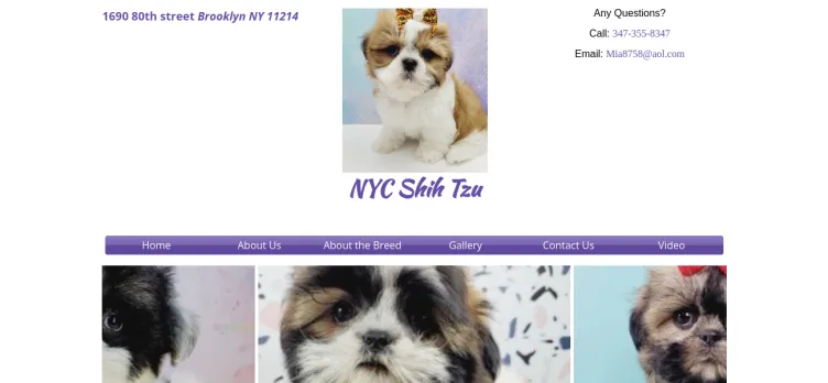 Screenshot NYC Shih Tzu