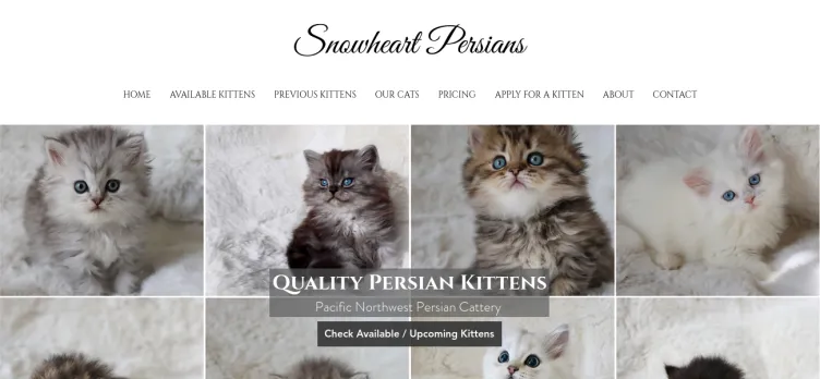 Screenshot Snowheart Persians