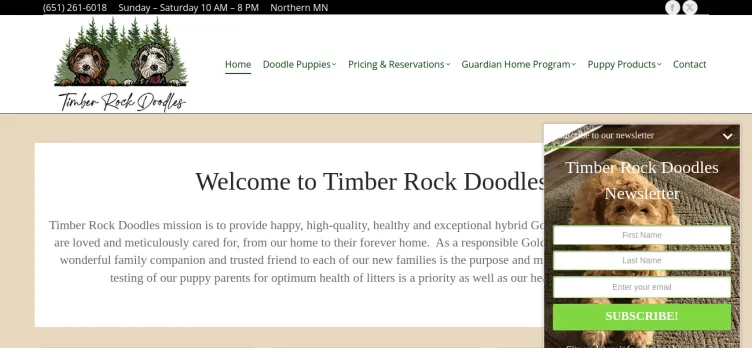 Screenshot Timber Rock Doodles