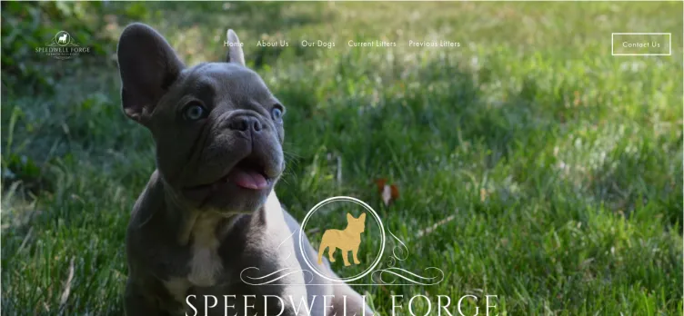 Screenshot Speedwell Forge French Bulldogs