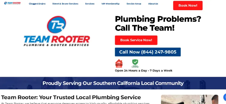 Screenshot TeamRooter.com