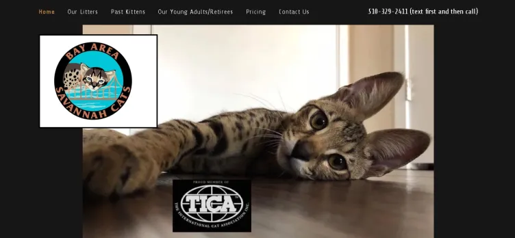 Screenshot Bay Area Savannah Cats