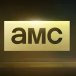 AMC Network Entertainment company reviews
