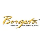 Borgata Hotel Casino & Spa company reviews