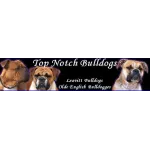 Top Notch Bulldogs