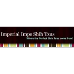 Imperial Imps Shih Tzus