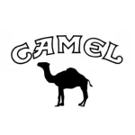 Camel company reviews