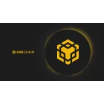 BNB Chain Customer Service Phone, Email, Contacts