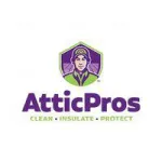 Attic Pros