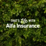 Alfa Insurance