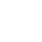 Precision Tree Care