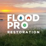 Flood Pro Maui