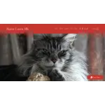 Maine Coons MK Customer Service Phone, Email, Contacts