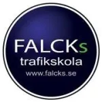 Falcks.se Customer Service Phone, Email, Contacts