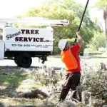 Stevens Tree Service Customer Service Phone, Email, Contacts