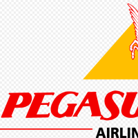 pegasus airlines reviews complaints customer claims