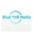 Blue Mail Media Inc