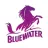 Bluewater UK reviews, listed as Big Bazaar / Future Group
