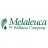 Melaleuca Logo