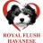 Royal Flush Havanese reviews, listed as YorkieBabies.com