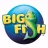 Big Fish Games Reviews