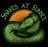 Snakes at Sunset reviews, listed as BackwaterReptiles.com