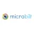 Microbilt Corporation reviews, listed as Plain Green Loans