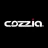 Cozzia-USA reviews, listed as Visions Electronics