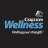 Carilion Wellness