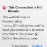 Yahoo! - iphone email