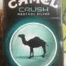 Camel - camel crush silver