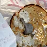 Tim Hortons - product - bagel toasted with lite cream cheese.