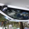 Toyota - blizzard white paint peeling on scion
