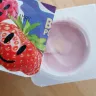 Yoplait - big pot yogurt for kids