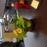 Avas Flowers - floral arrangement/customer service