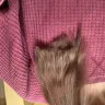 Hair Cuttery - Hair cut