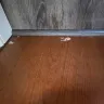 Express Flooring - Floor installation/damage to personal property