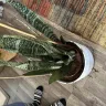 1-800-Flowers.com - Snake Plant Double Charge