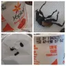 Yoplait - beetle found in yogurt